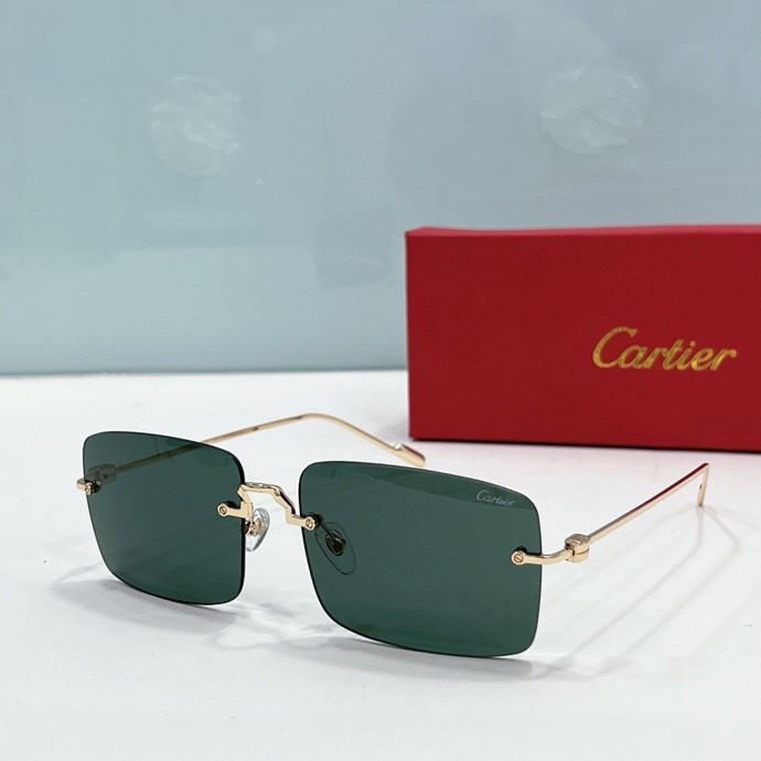 CTR Sunglasses AAA-205