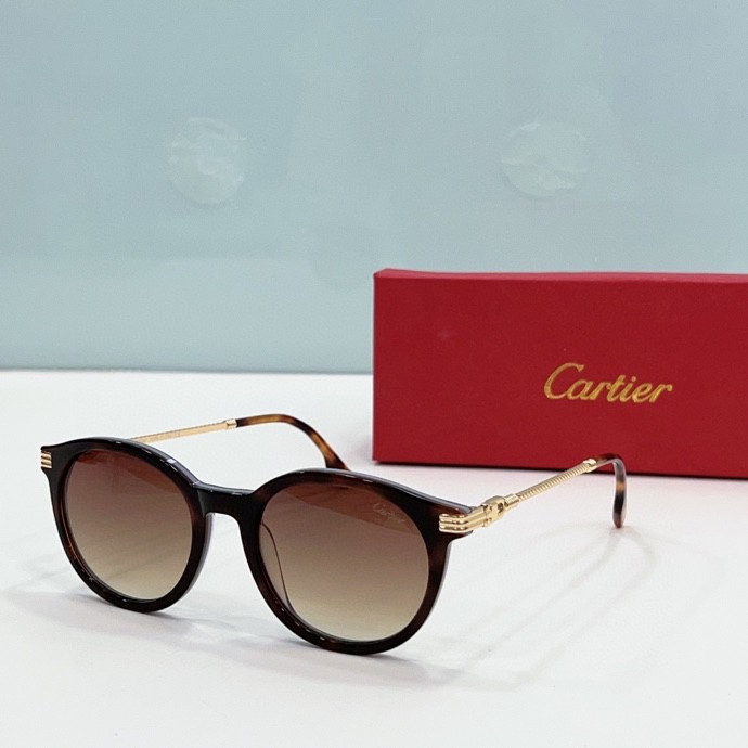 CTR Sunglasses AAA-204