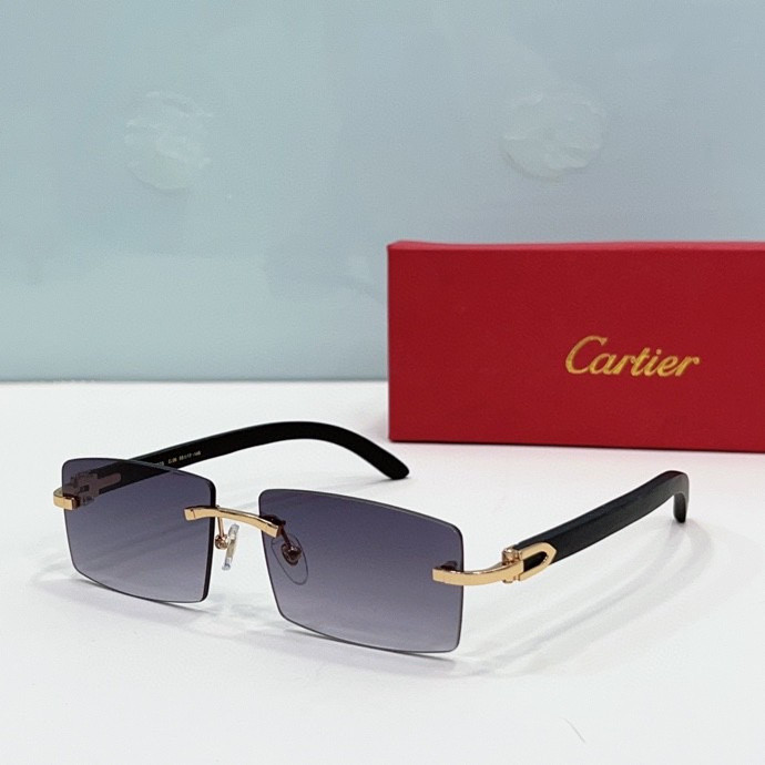 CTR Sunglasses AAA-209