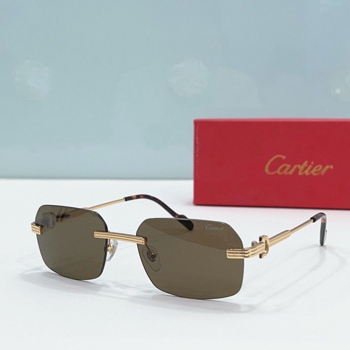 CTR Sunglasses AAA-185