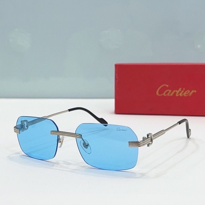 CTR Sunglasses AAA-187
