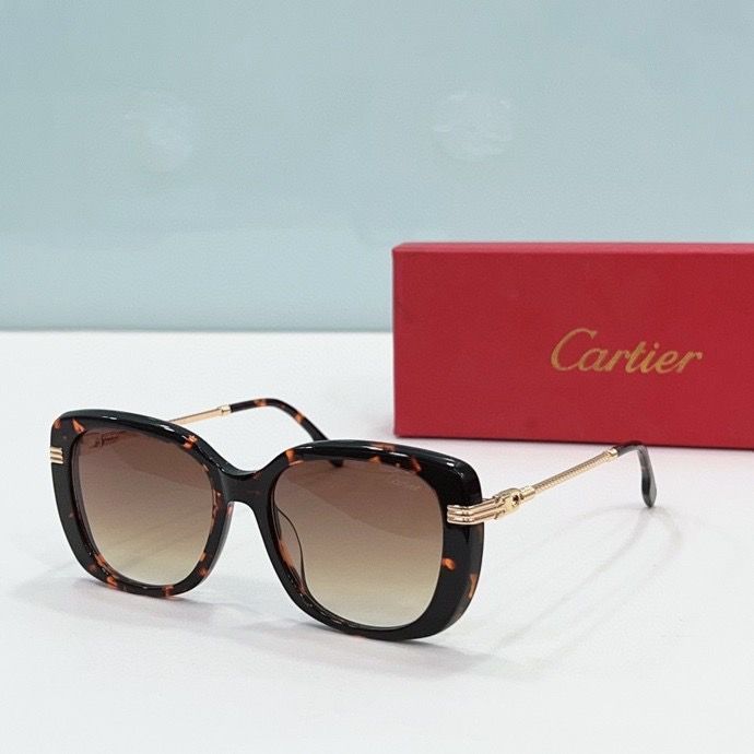 CTR Sunglasses AAA-200