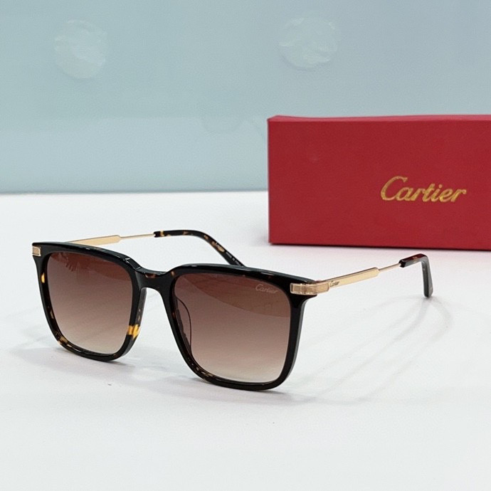 CTR Sunglasses AAA-203