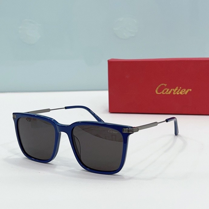 CTR Sunglasses AAA-203