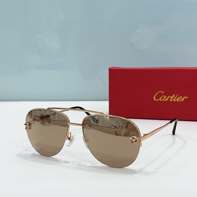 CTR Sunglasses AAA-206