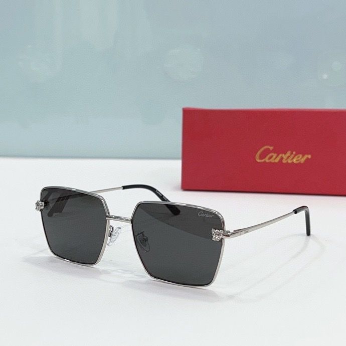 CTR Sunglasses AAA-178
