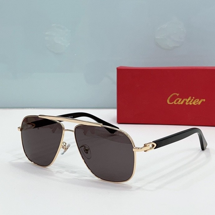 CTR Sunglasses AAA-207