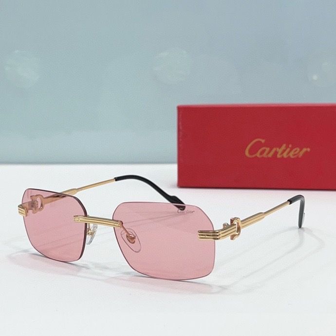 CTR Sunglasses AAA-185