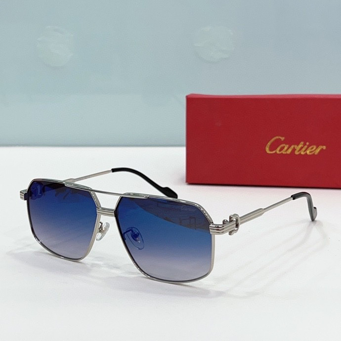 CTR Sunglasses AAA-202