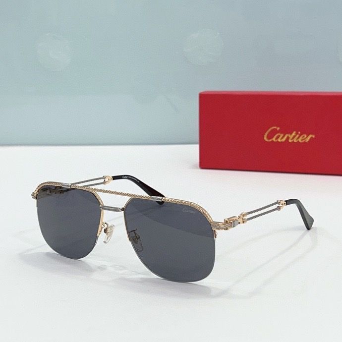 CTR Sunglasses AAA-170