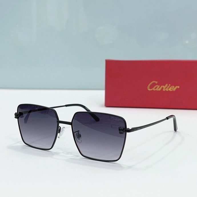 CTR Sunglasses AAA-178
