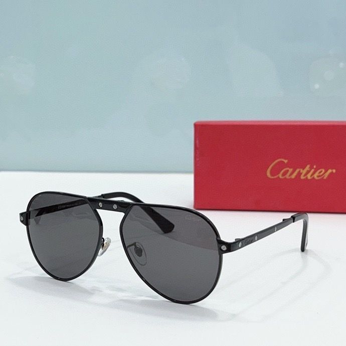 CTR Sunglasses AAA-184