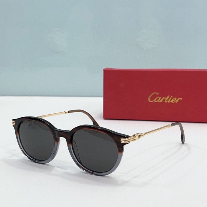 CTR Sunglasses AAA-204