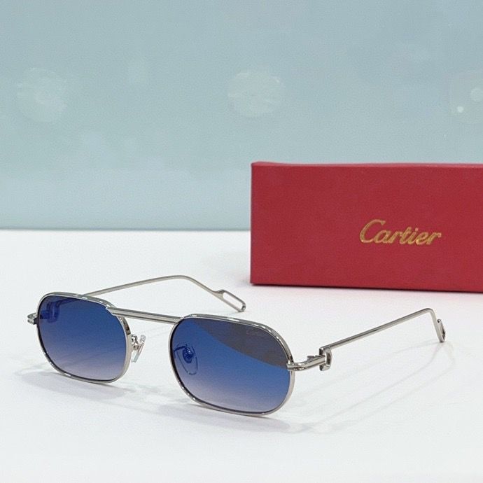 CTR Sunglasses AAA-189