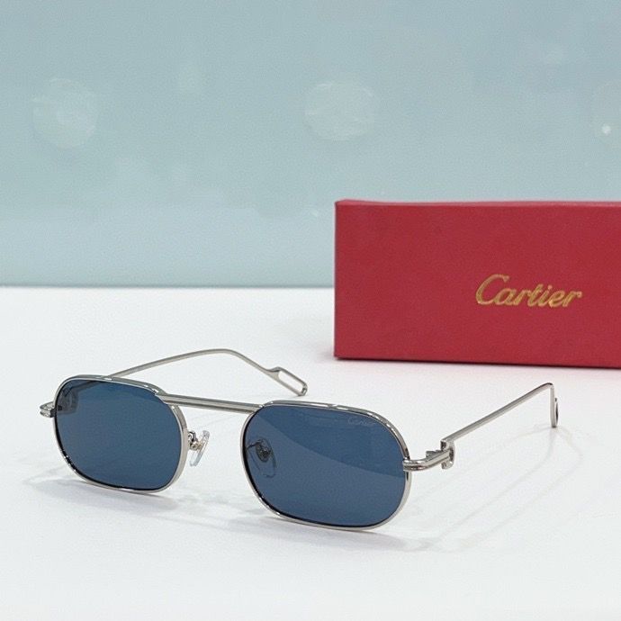 CTR Sunglasses AAA-189