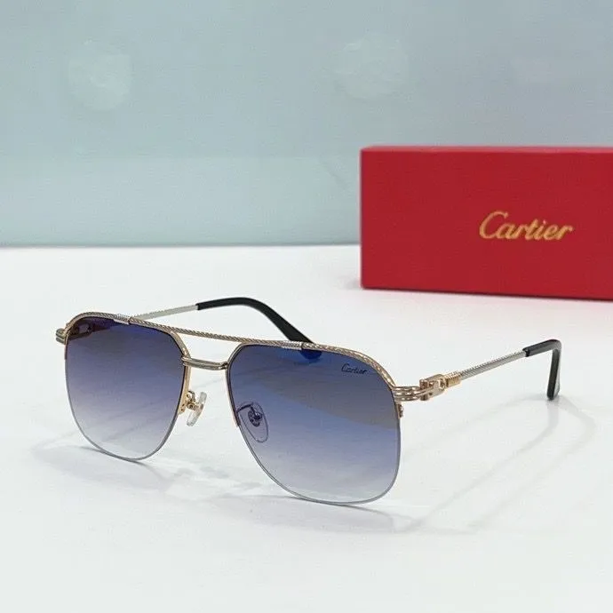 CTR Sunglasses AAA-170