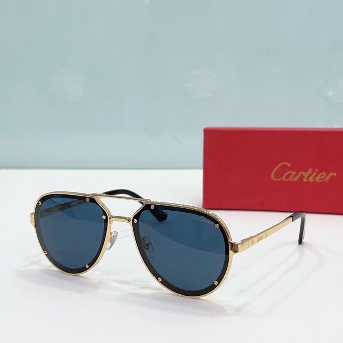 CTR Sunglasses AAA-192