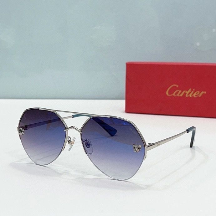 CTR Sunglasses AAA-182
