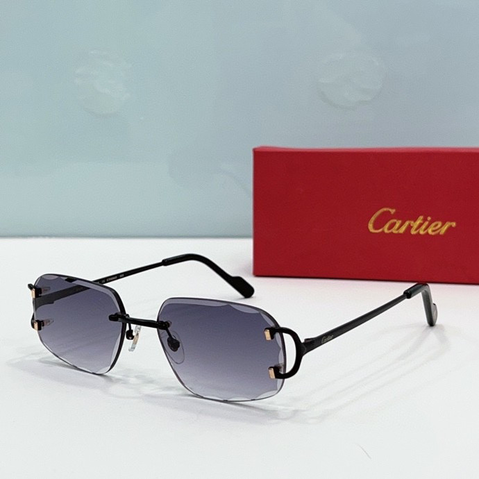 CTR Sunglasses AAA-208