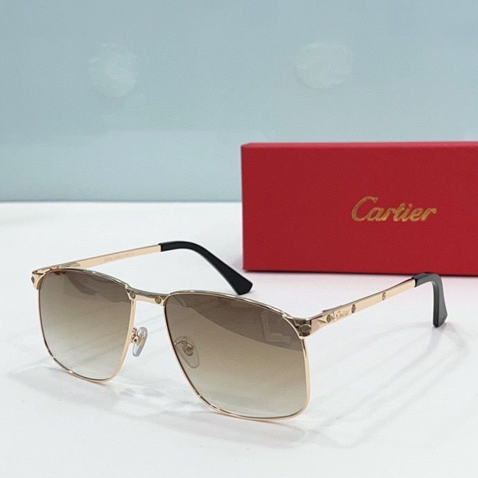 CTR Sunglasses AAA-201