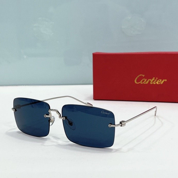 CTR Sunglasses AAA-205
