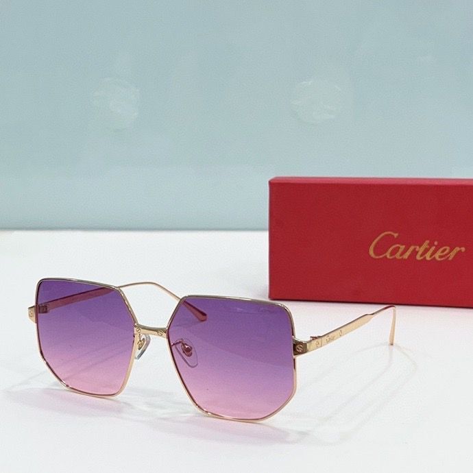 CTR Sunglasses AAA-190