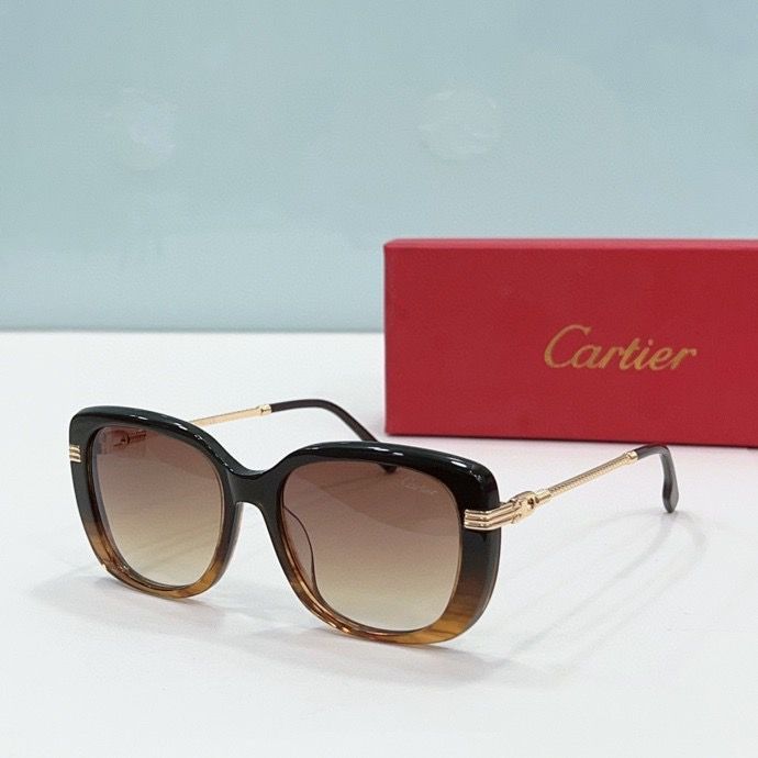 CTR Sunglasses AAA-200