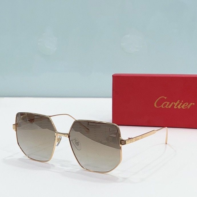 CTR Sunglasses AAA-190