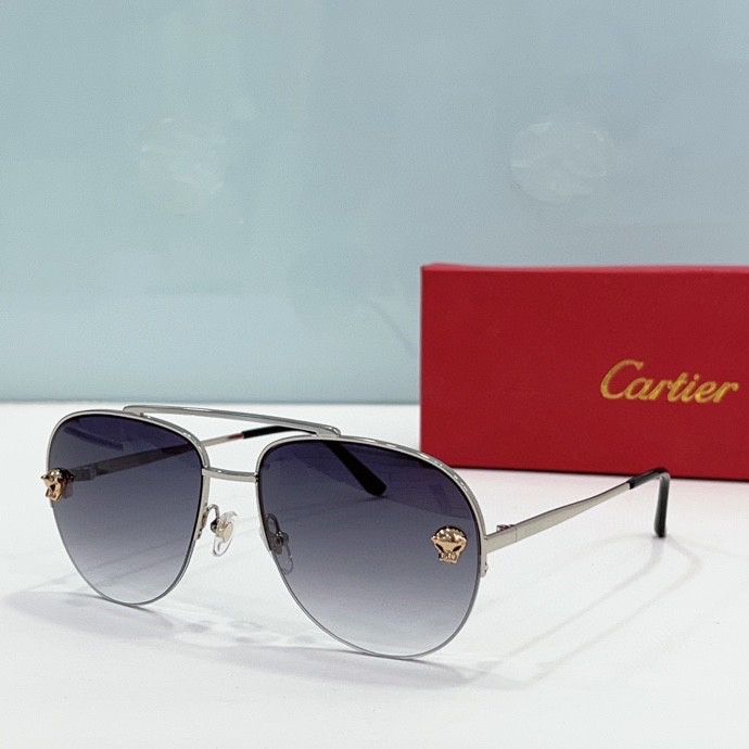 CTR Sunglasses AAA-206