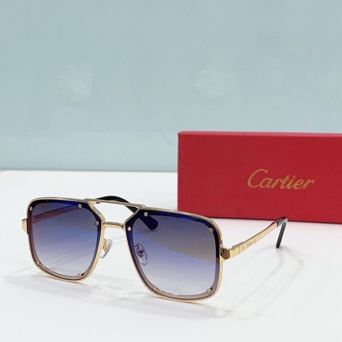 CTR Sunglasses AAA-191