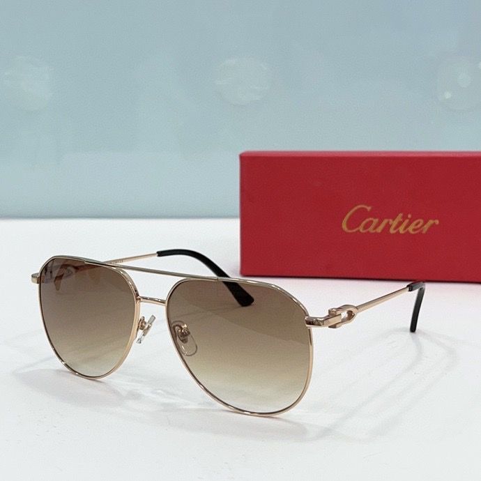 CTR Sunglasses AAA-197