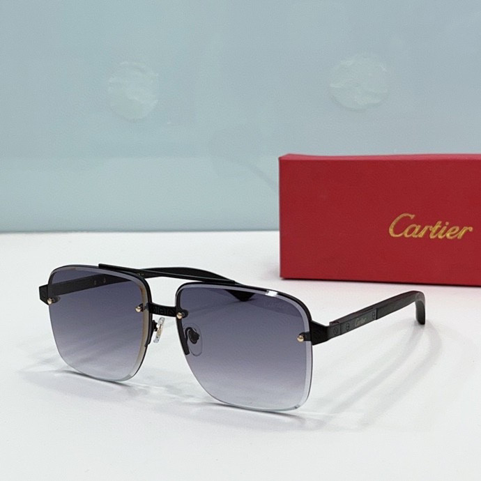 CTR Sunglasses AAA-211