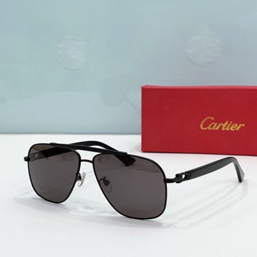 CTR Sunglasses AAA-207
