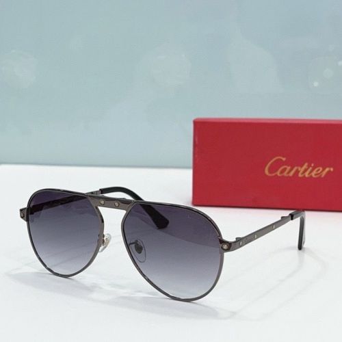 CTR Sunglasses AAA-184