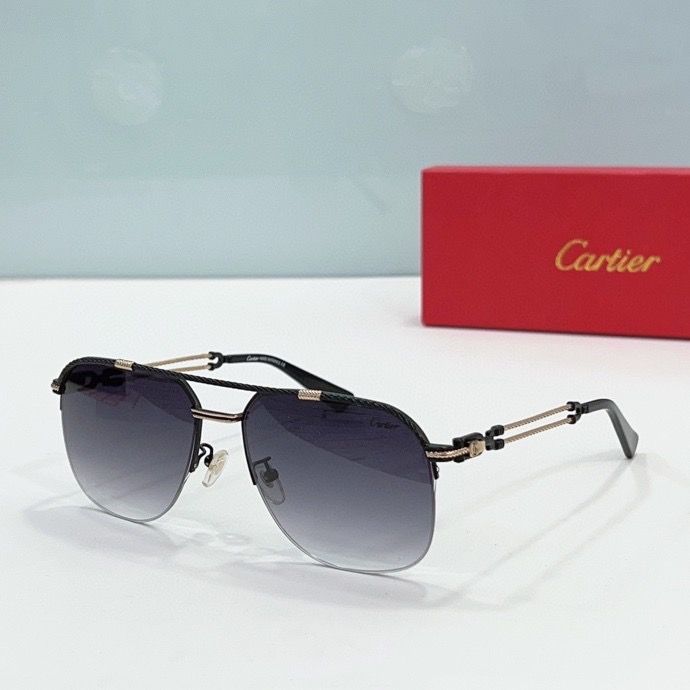 CTR Sunglasses AAA-170