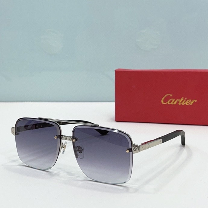 CTR Sunglasses AAA-211