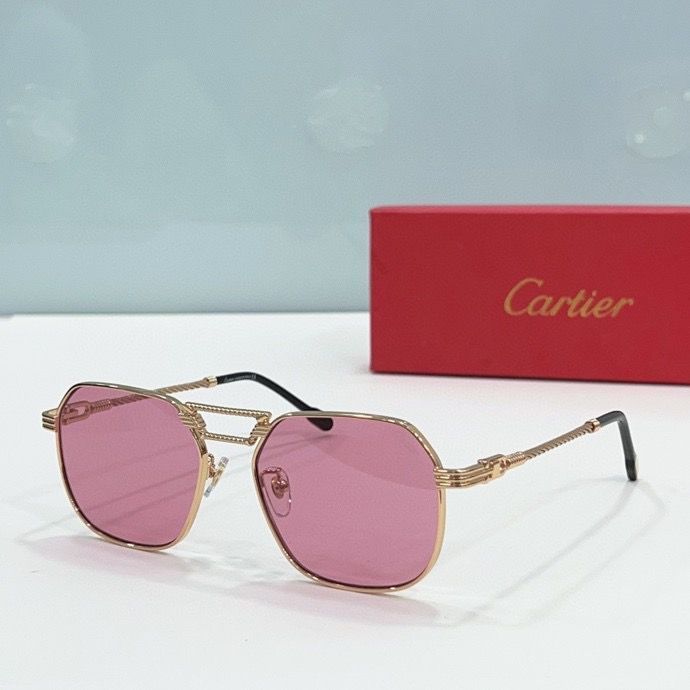 CTR Sunglasses AAA-179