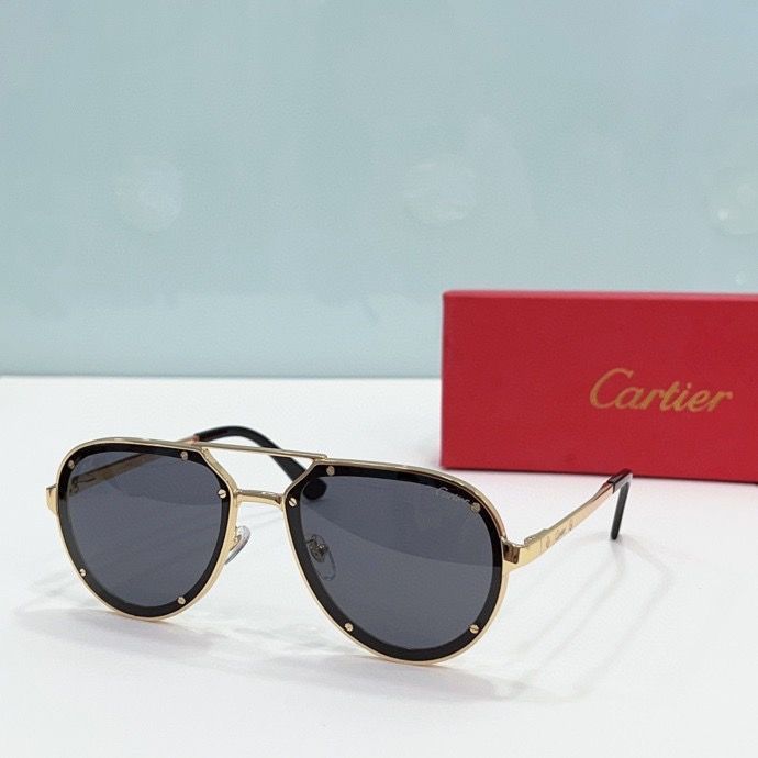 CTR Sunglasses AAA-192