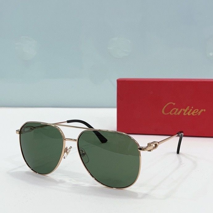 CTR Sunglasses AAA-197