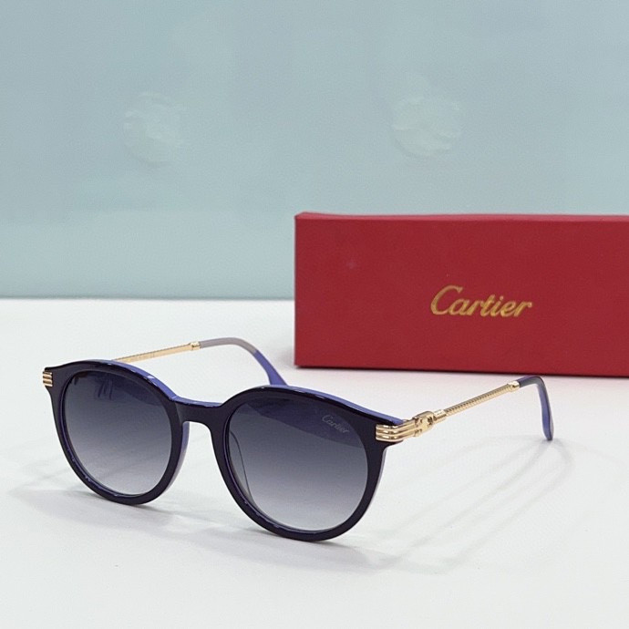 CTR Sunglasses AAA-204