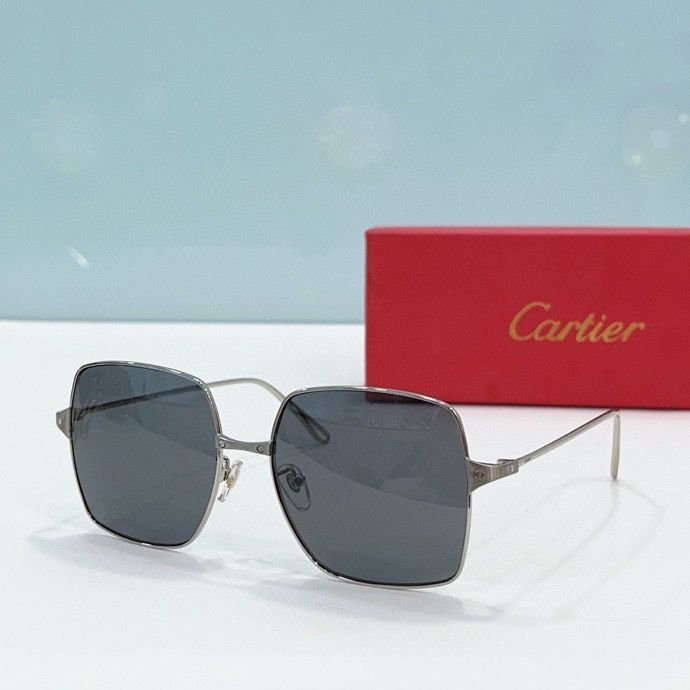 CTR Sunglasses AAA-186