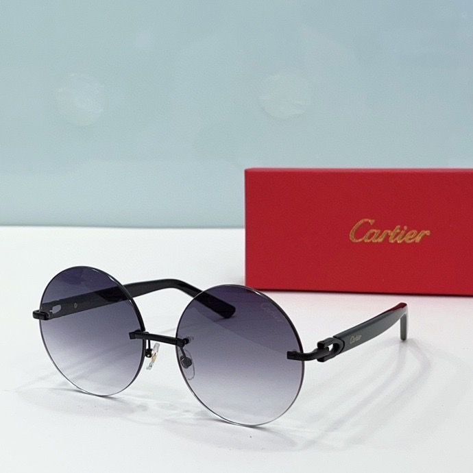 CTR Sunglasses AAA-195