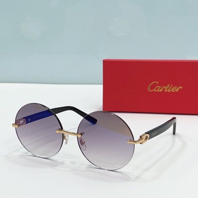 CTR Sunglasses AAA-195