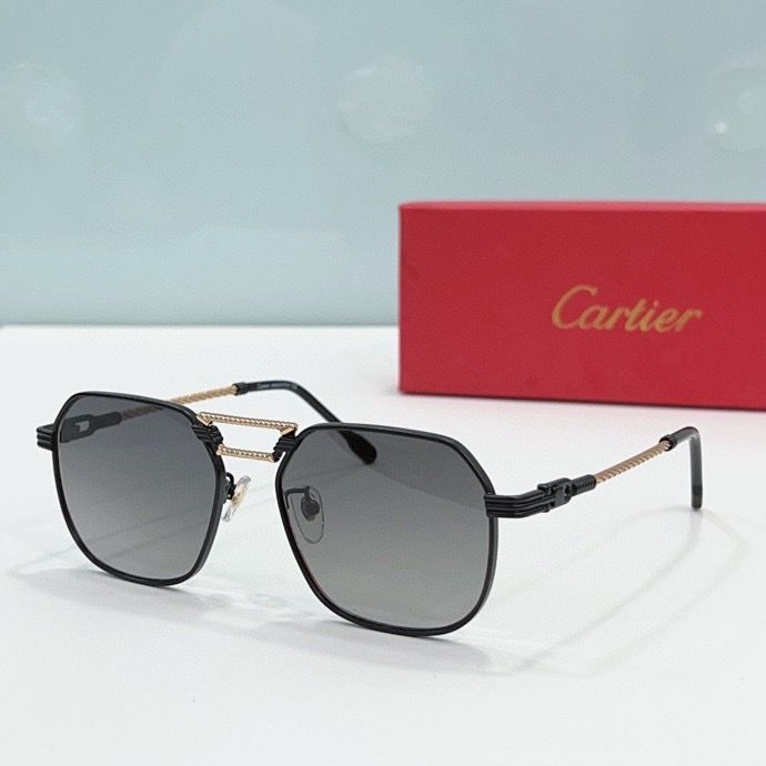 CTR Sunglasses AAA-179