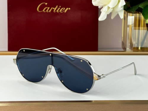 CTR Sunglasses AAA-228