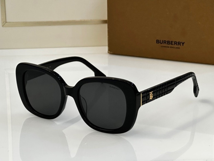 BU Sunglasses AAA-112