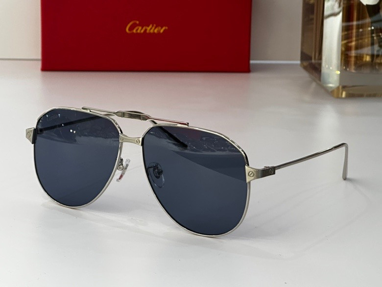 CTR Sunglasses AAA-229