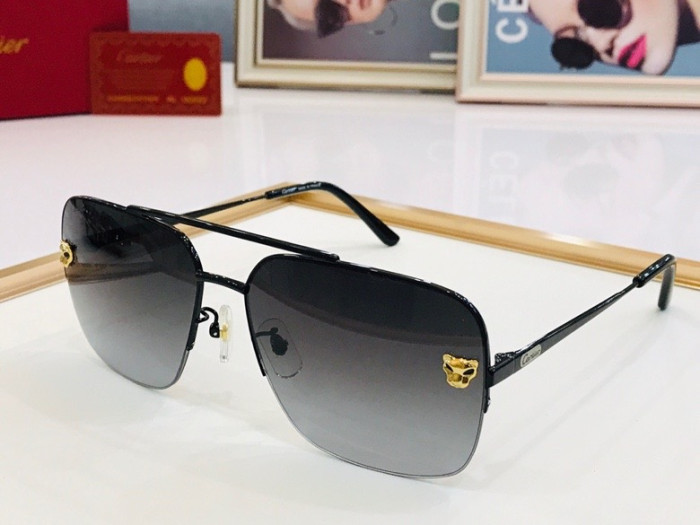 CTR Sunglasses AAA-219