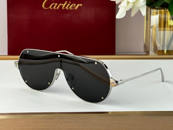 CTR Sunglasses AAA-228