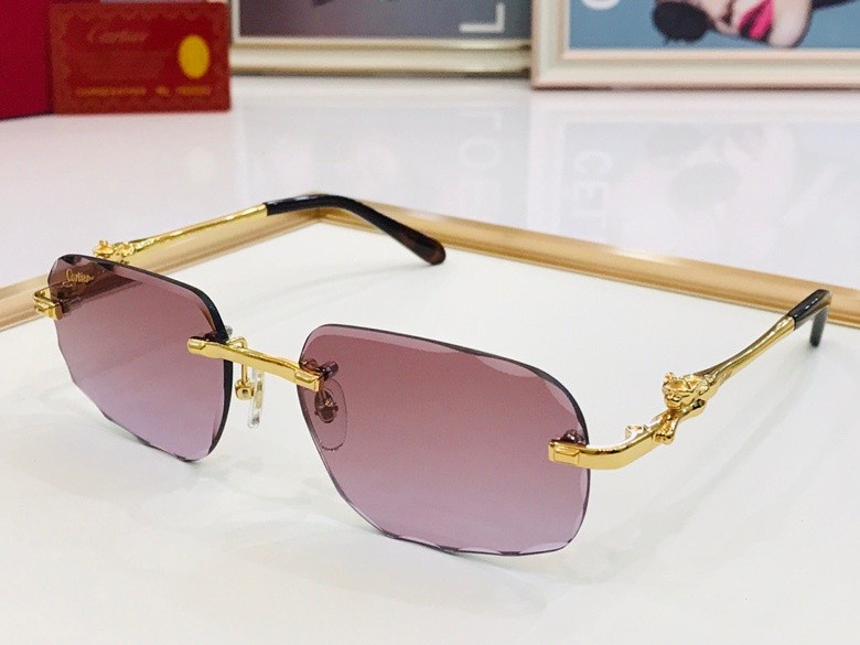 CTR Sunglasses AAA-224